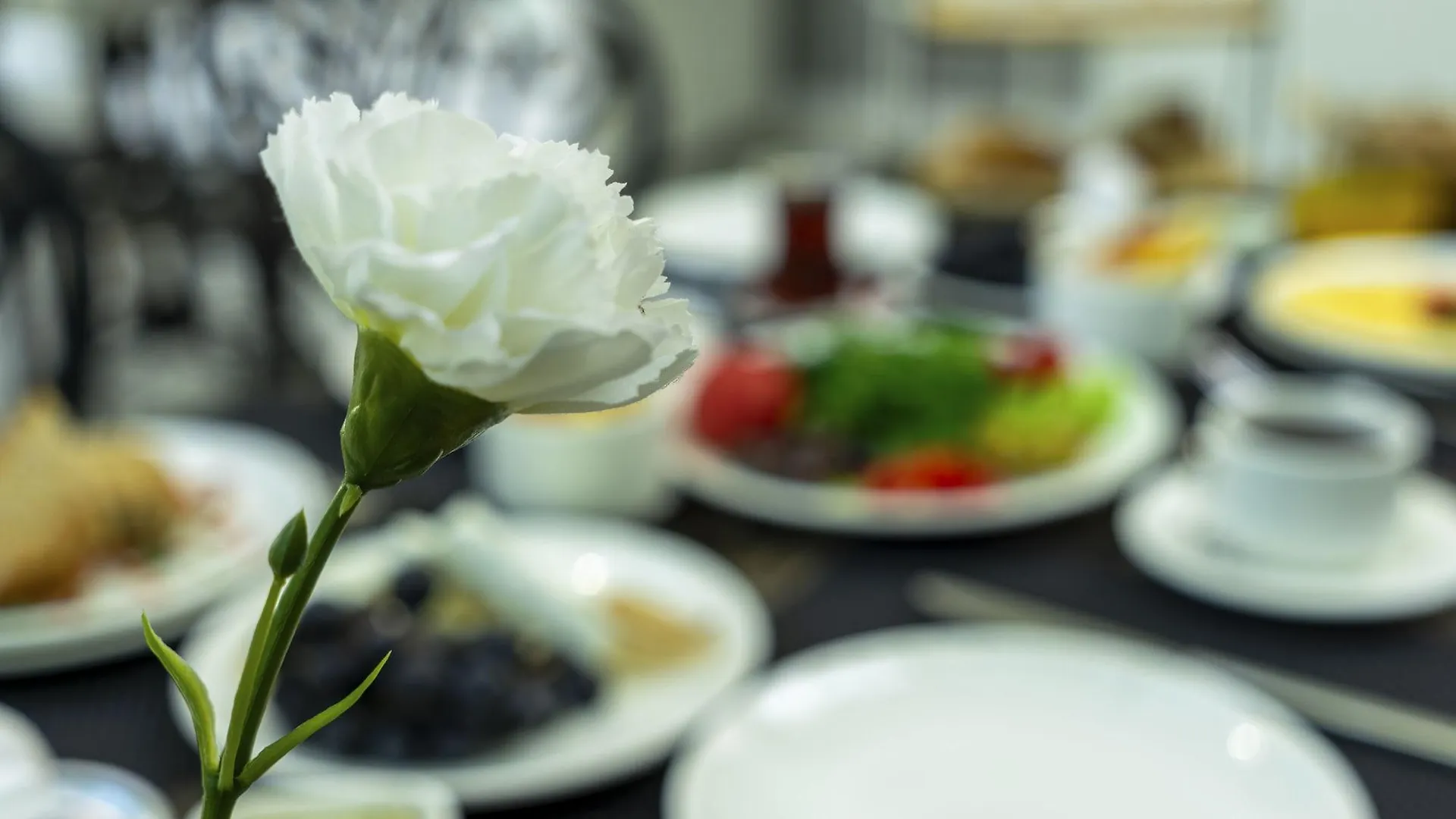 **  The Mori Club Hotel Antalya Turcja